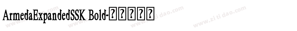 ArmedaExpandedSSK Bold字体转换